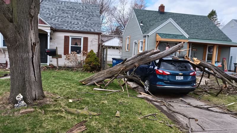 Wind damage from fallen tree on vehicle and property - underpaid insurance claim