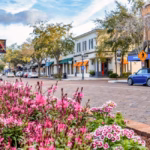 Licensed public adjuster consulting with Winter Park Florida homeowner about insurance claim settlement