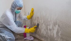 Mold damage on a wall in a Florida home representing a commonly denied insurance claim