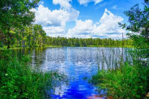 Lutz Florida lakefront landscape — Republic Loss Adjusters serves Lutz homeowners with licensed public adjuster services in Hillsborough County